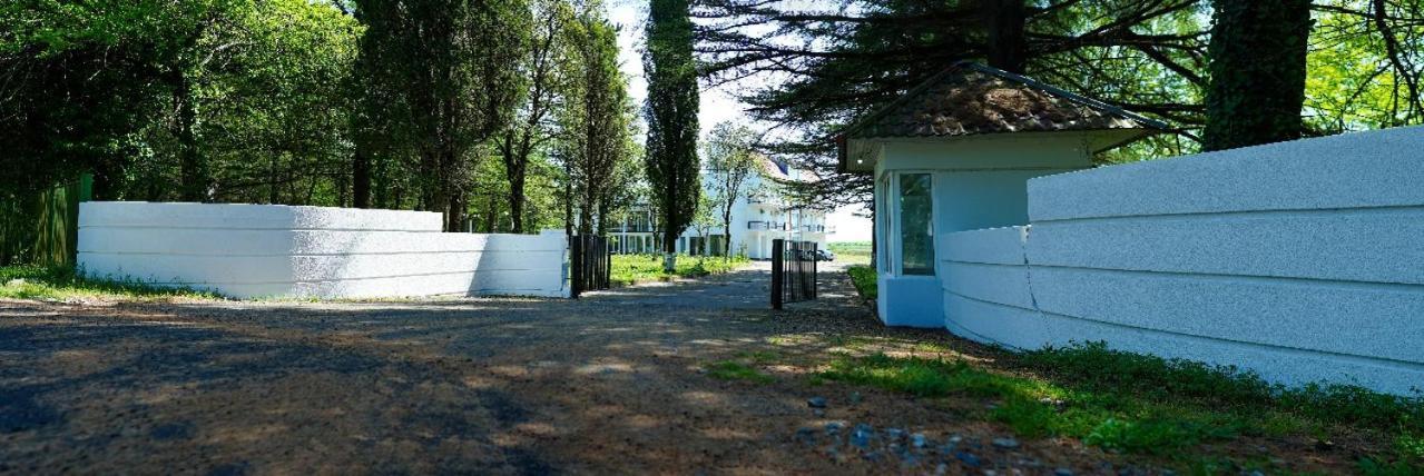 Hotel Tsiskari Ianet'i Exterior foto