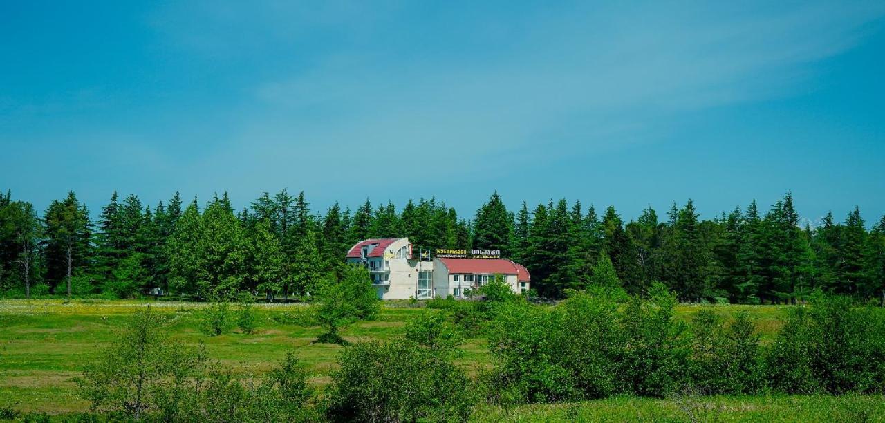 Hotel Tsiskari Ianet'i Exterior foto